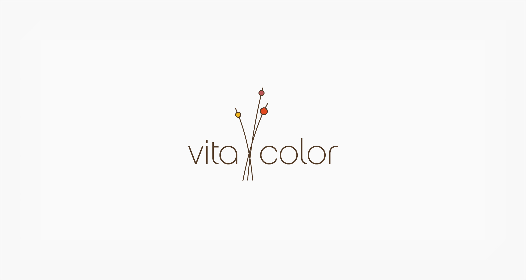 Vita-Color-logo-large